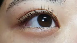 マツエク・マツパ angelux 所属・完全個室サロン🌹 angelux🌹のマツエク・マツパデザイン