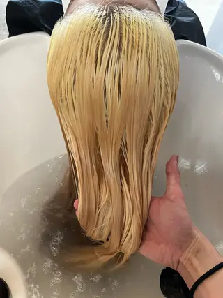 カラー ウルフとデザイン カラーの神のヘアスタイル