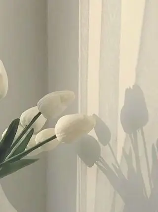 ネイル パラジェル専門サロン　Guleum【クルム】所属・Guleum🫧 nagisa🩰🌷のネイルデザイン