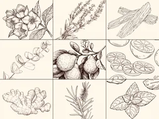 近藤 由美のエステ・リラクイメージ