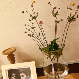 マツエク・マツパ なかむら 🪡のマツエク・マツパデザイン