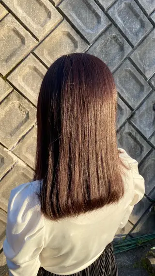 セミロング カラー 手嶋 理仁のヘアスタイル