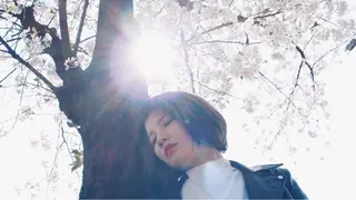 ショート カラー BOB🌟ハイトーン /ブリーチ/TAKUのヘアスタイル