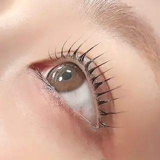 マツエク・マツパ u*Nerine所属・【まつ毛パーマ専門】 u*Nerine堤のマツエク・マツパデザイン