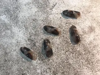 ネイル Kimura Yukoのネイルデザイン