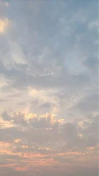 ブラウン/静岡/髪質 改善/大人可愛い🐰のマツエク・マツパデザイン