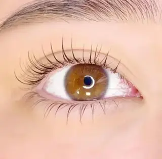 マツエク・マツパ oe harunaのマツエク・マツパデザイン