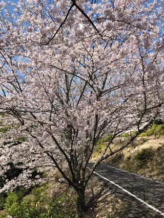 セミロング Hair Communication Puzzle所属・雪上 章のヘアスタイル