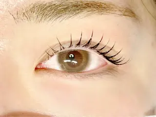 マツエク・マツパ 🌈ALEUM.🌈 アルムのマツエク・マツパデザイン