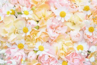 Salon'sDoo Nのネイルデザイン