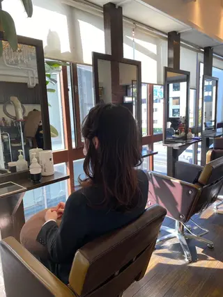 セミロング LOTUS表参道所属・【代表】 🌟MASA🌟美髪のヘアスタイル