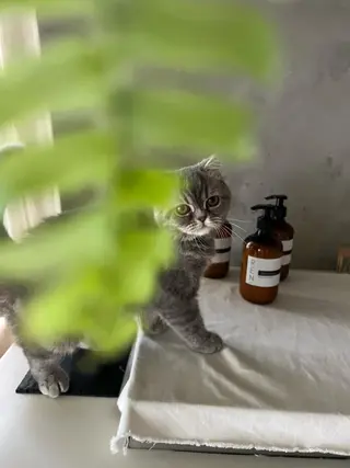 RENsalon大阪 体質改善リトリートのエステ・リラクイメージ