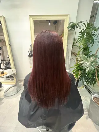 カラー 晶／艶髪カラー ／トリートメントのヘアスタイル