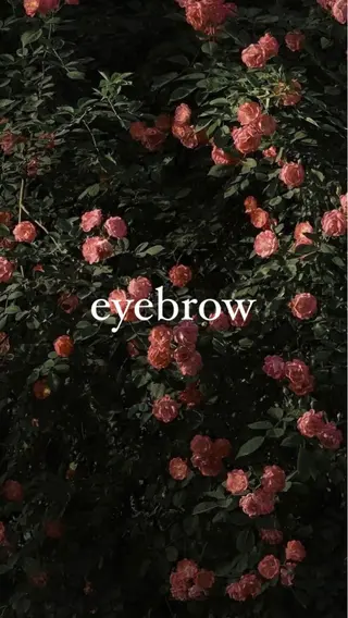 アイブロウ luuna SARA🌙の眉毛・アイブロウイメージ