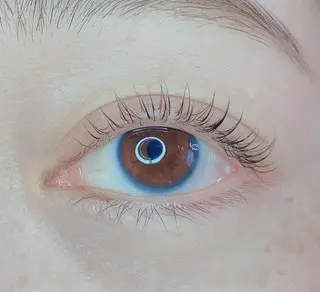 マツエク・マツパ TIARA池袋西口店 店長YASUKA💐のマツエク・マツパデザイン