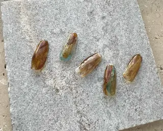 ネイル tree houseのネイルデザイン