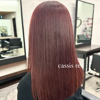 ミディアム カラー ヘアアレンジ ボブ/レイヤー/ 艶髪/HANA💗のヘアスタイル