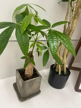 美容矯正✖️小顔 kiriyaのエステ・リラクイメージ