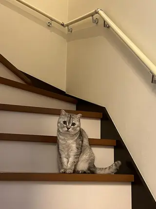 lucky nail 歌舞伎町のネイルデザイン