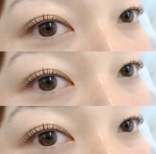 マツエク・マツパ Lupinus所属・Lupinus  後藤のマツエク・マツパデザイン