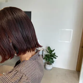 ショート カラー 石川 瑠琉のヘアスタイル