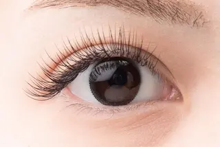 マツエク・マツパ MAHR 表参道店のマツエク・マツパデザイン