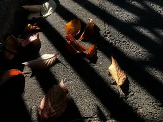 basico  のエステ・リラクイメージ