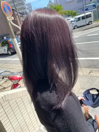 セミロング 野呂 隼人のヘアスタイル