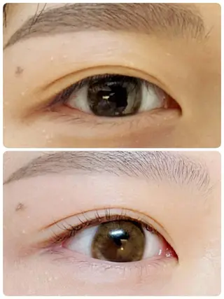 マツエク・マツパ ehl:fa Beautyのマツエク・マツパデザイン