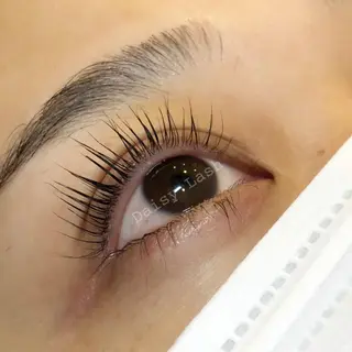 マツエク・マツパ Daisy Lash 梅田本店のマツエク・マツパデザイン