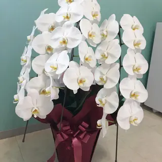 ネイルサロン ラディット所属・nailsalon Radditのネイルデザイン