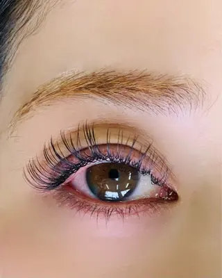 マツエク・マツパ oyat ..の眉毛・アイブロウイメージ