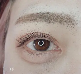 マツエク・マツパ TIARA池袋西口店 店長YASUKA💐のマツエク・マツパデザイン