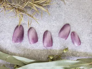 ネイル Komiya Sのネイルデザイン