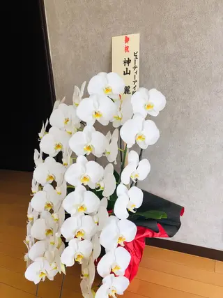 マツエク・マツパ 伊藤名紬 マツエク専門のマツエク・マツパデザイン