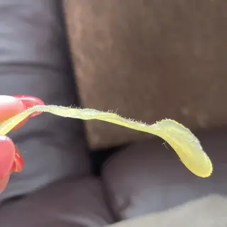 epic所属・epic (エピック)のマツエク・マツパデザイン