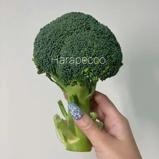 ネイル Hiro nail /Harapeccoのネイルデザイン