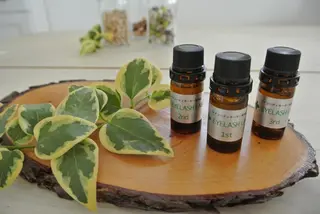 マツエク・マツパ true trust eyelashのマツエク・マツパデザイン