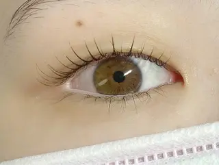 マツエク・マツパ CITRON ⭐︎のマツエク・マツパデザイン