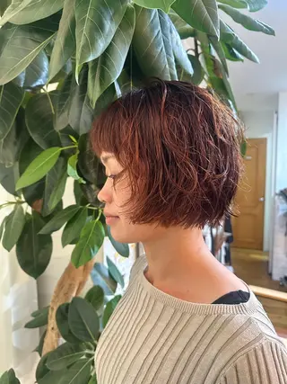 ショート 福井 咲羅のヘアスタイル