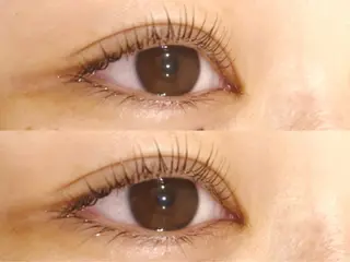 マツエク・マツパ Hera 👀アイラッシュのマツエク・マツパデザイン