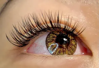 マツエク・マツパ Favori 山下のマツエク・マツパデザイン