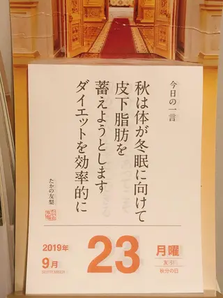 ショート カラー パーマ ヘアアレンジ メンズ キッズ ネイル マツエク・マツパ ‍痩身＆ボディ 結果出し🌟丹野のエステ・リラクイメージ