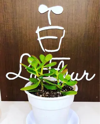 ラ.フルール　　la.fleur所属・ノエビア.ラフルール こばやしのぞみのエステ・リラクイメージ