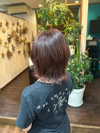 ミディアム 早坂 さくらのヘアスタイル