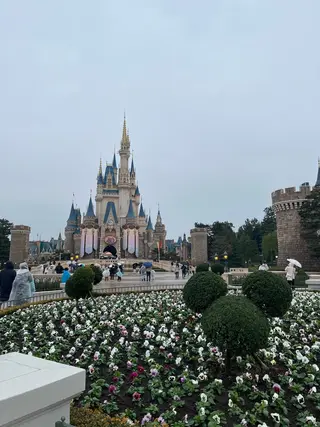 マツエク・マツパ オーロラ所属・AURORA RINAのマツエク・マツパデザイン