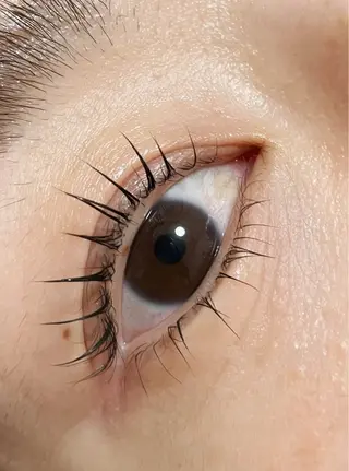 マツエク・マツパ cielo natsukiのマツエク・マツパデザイン