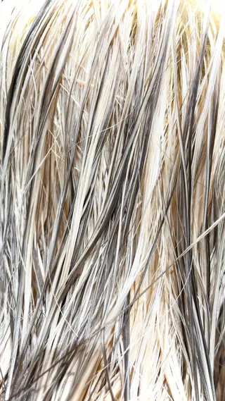 ミディアム カラー GO TODAY シェアサロン Flos店所属・耳つぼジュエリー 👂🏻🌸ayaのエステ・リラクイメージ