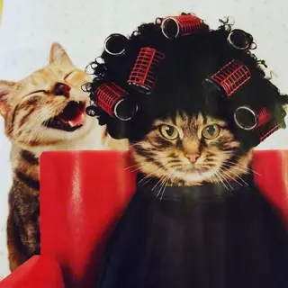 spa hair  ark 富井直美のヘアスタイル