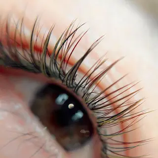 マツエク・マツパ li'l eyelashのマツエク・マツパデザイン